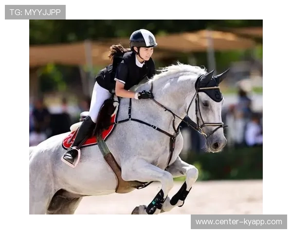 克罗地亚马术协会与国际组织合作,推广“Sinjska Alka”至全球。 克罗地亚马术协会与国际组织合作,推广“Sinjska Alka”至全球。