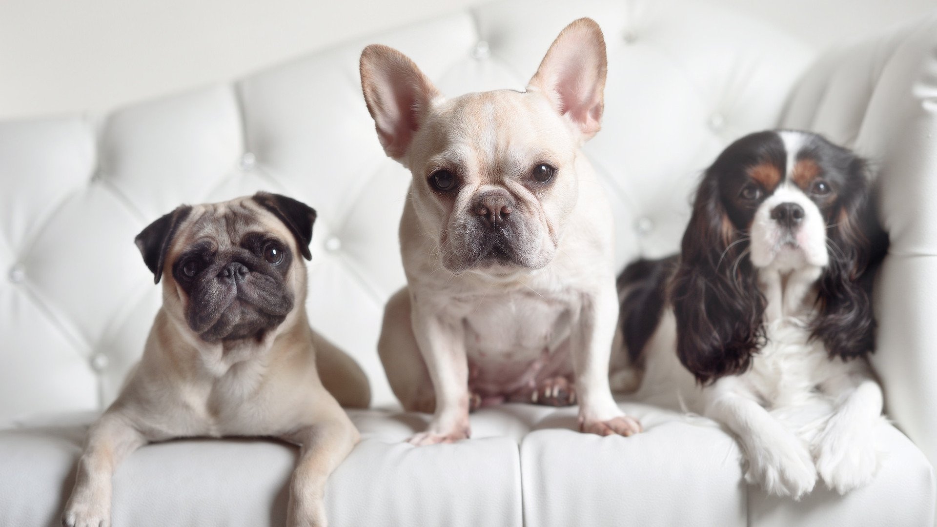 广东队内部气氛和谐打造积极竞争环境